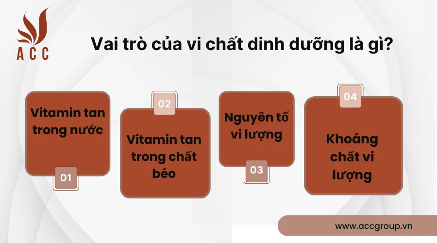 Vai trò của vi chất dinh dưỡng là gì?