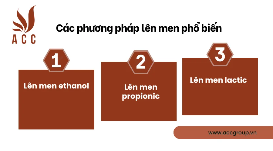  Các phương pháp lên men phổ biến