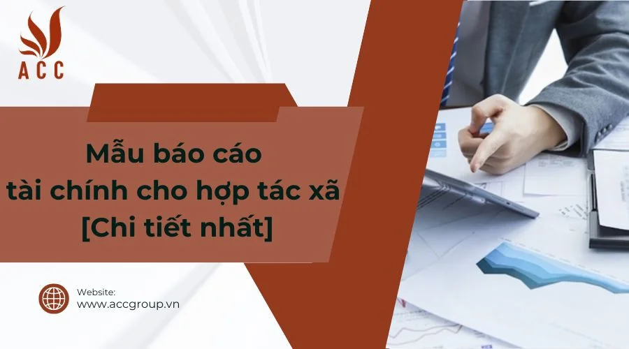 Mẫu báo cáo tài chính cho hợp tác xã