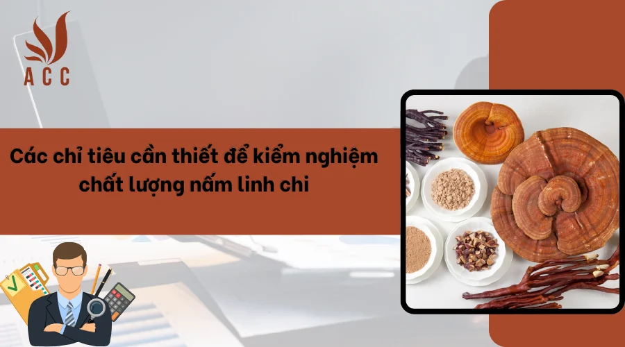 Các chỉ tiêu cần thiết để kiểm nghiệm chất lượng nấm linh chi