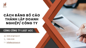 cach-dang-bo-cao-thanh-lap-doanh-nghiep-cong-ty