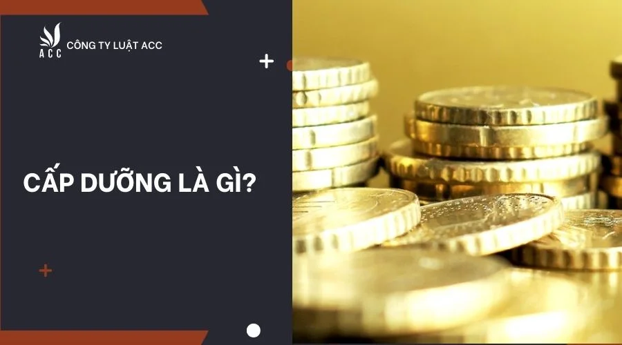 Cấp dưỡng là gì?