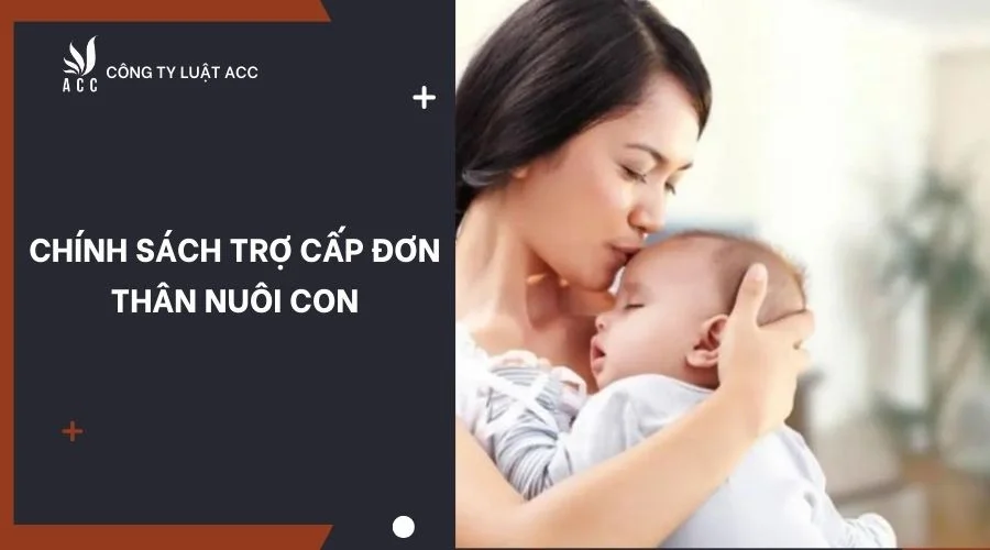 Chính sách trợ cấp đơn thân nuôi con