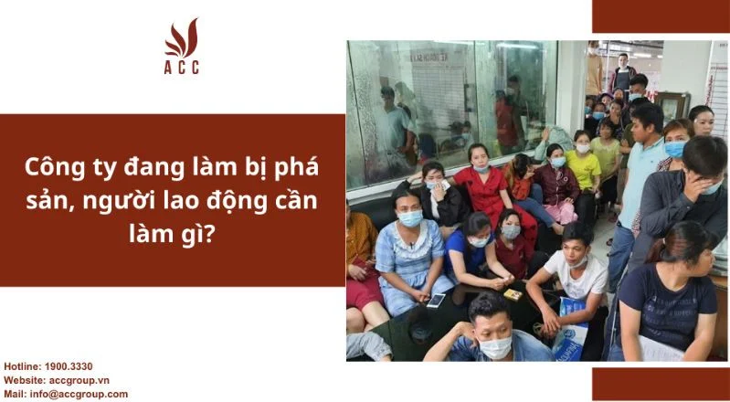 Công ty đang làm bị phá sản, người lao động cần làm gì?