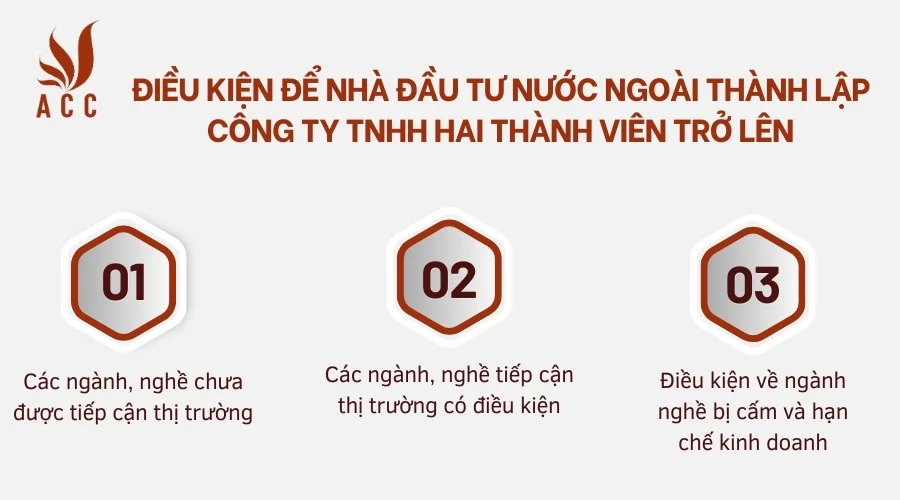  Điều kiện để nhà đầu tư nước ngoài thành lập công ty TNHH hai thành viên trở lên