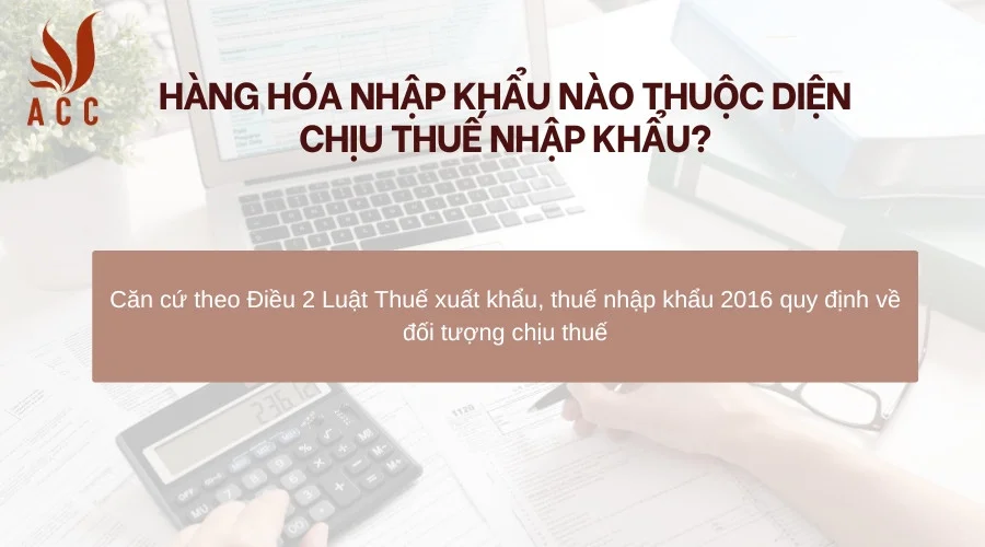 Hàng hóa nhập khẩu nào thuộc diện chịu thuế nhập khẩu