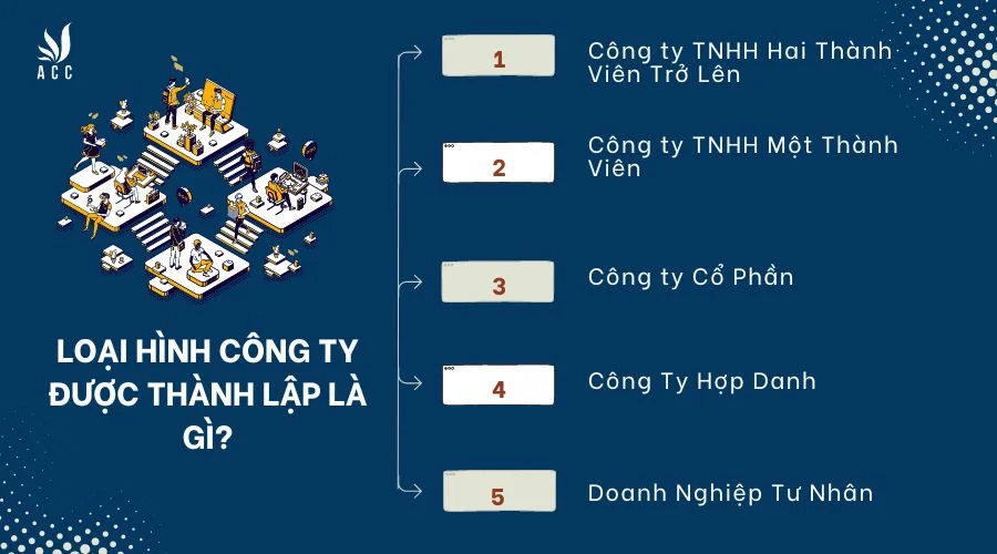 loai-hinh-cong-ty-duoc-thanh-lap-la-gi