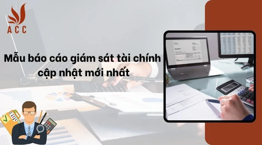 Mẫu báo cáo giám sát tài chính cập nhật mới nhất