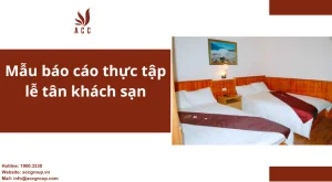 mau-bao-cao-thuc-tap-le-tan-khach-san