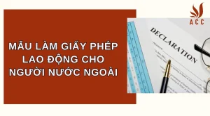 mau-lam-giay-phep-lao-dong-cho-nguoi-nuoc-ngoai