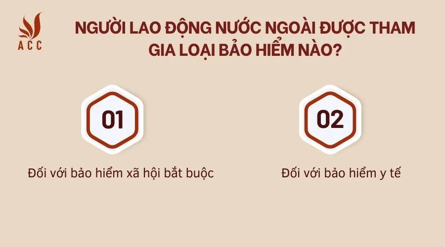 Người lao động nước ngoài được tham gia loại bảo hiểm nào?