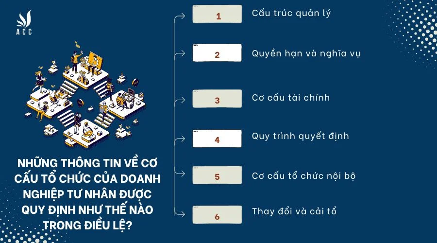 nhung-thong-tin-ve-co-cau-to-chuc-cua-doanh-nghiep-tu-nhan-duoc-quy-dinh-nhu-the-nao-trong-dieu-le