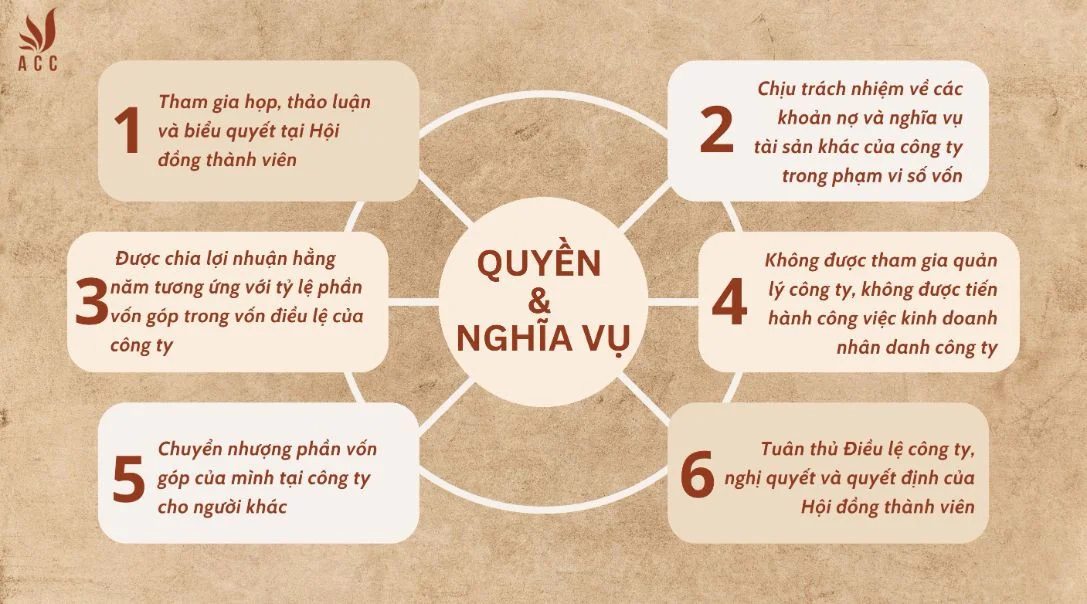 Quyền và nghĩa vụ của thành viên góp vốn trong công ty hợp danh