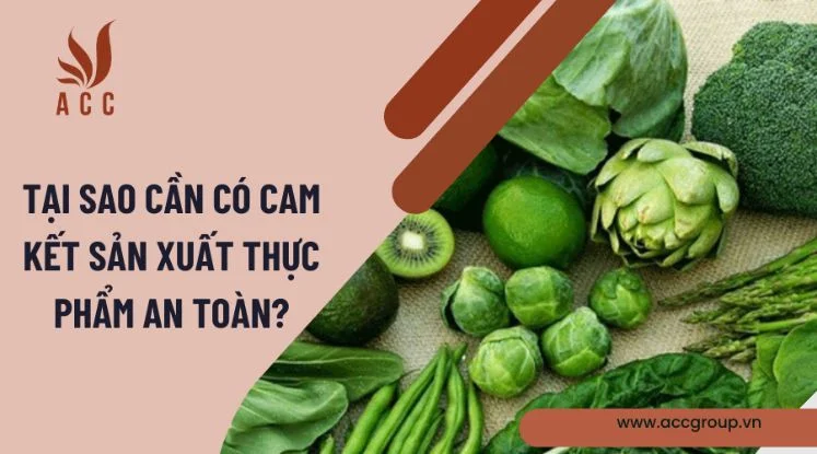 Tại sao cần có cam kết sản xuất thực phẩm an toàn?