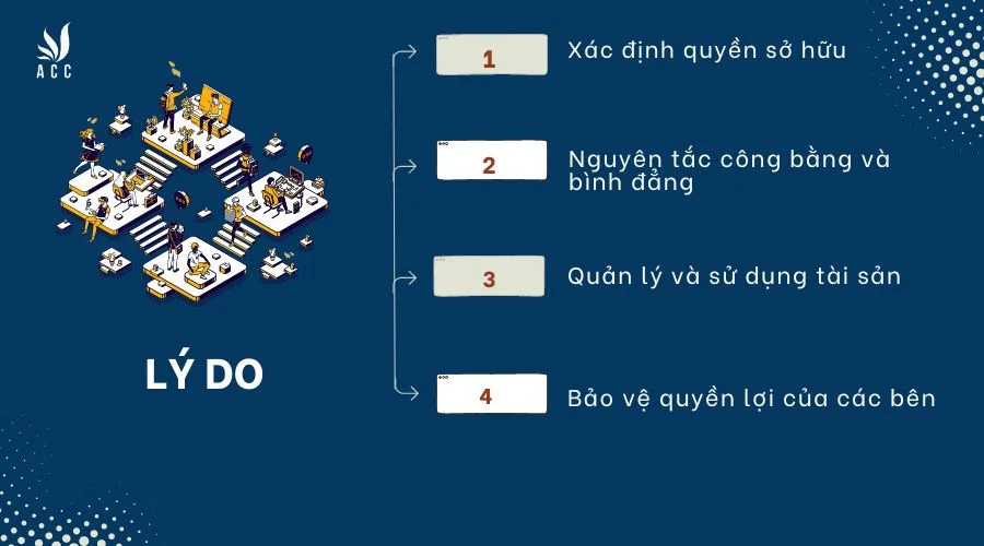 tai-sao-quy-dinh-phap-luat-ve-tai-san-truoc-hon-nhan-dac-biet-la-viec-phan-loai-tai-san-la-rieng-hay-chung-la-van-de-quan-trong-trong-cac-vu-ly-hon-va-tranh-chap-tai-san