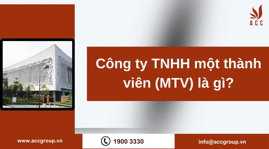 Công ty TNHH một thành viên (MTV) là gì?