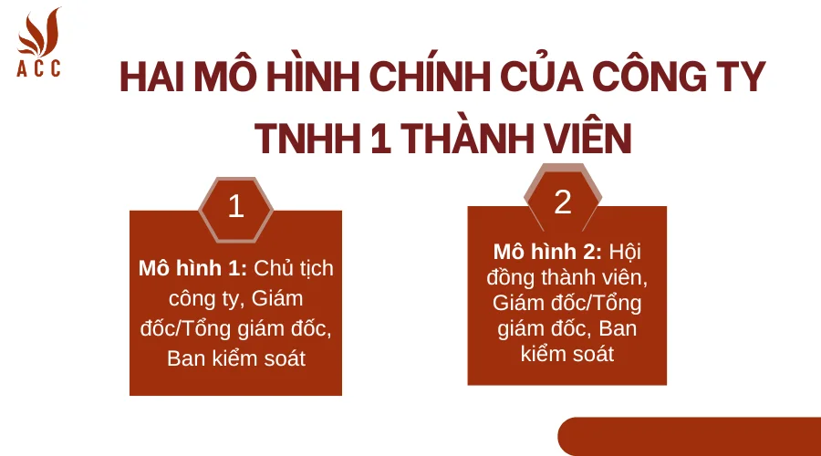 Cơ cấu tổ chức của công ty TNHH 1 thành viên