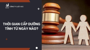 thoi-gian-cap-duong-tinh-tu-ngay-nao