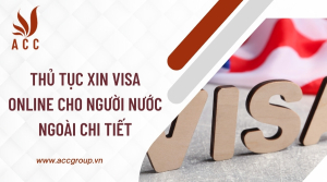 thu-tuc-xin-visa-online-cho-nguoi-nuoc-ngoai-chi-tiet