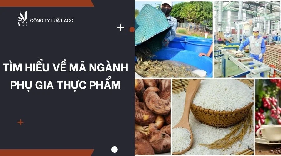 tim-hieu-ve-ma-nganh-phu-gia-thuc-pham-1