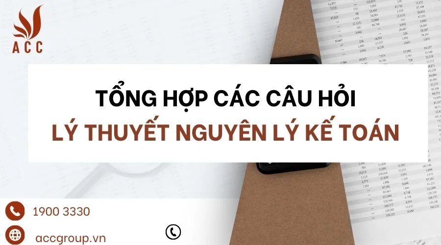 Tổng hợp các câu hỏi lý thuyết nguyên lý kế toán