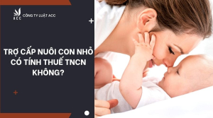 tro-cap-nuoi-con-nho-co-tinh-thue-tncn-khong