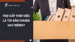 tro-cap-thoi-viec-la-tai-san-chung-hay-rieng