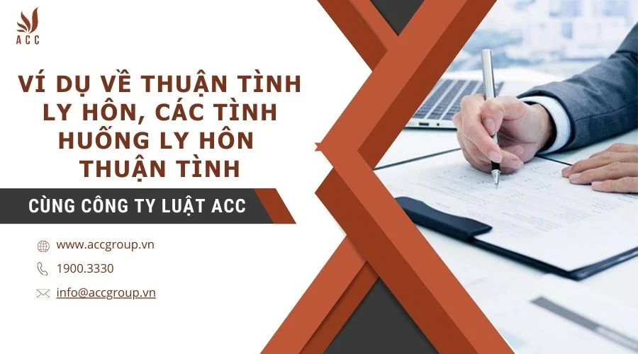 vi-du-ve-thuan-tinh-ly-hon-cac-tinh-huong-ly-hon-thuan-tinh