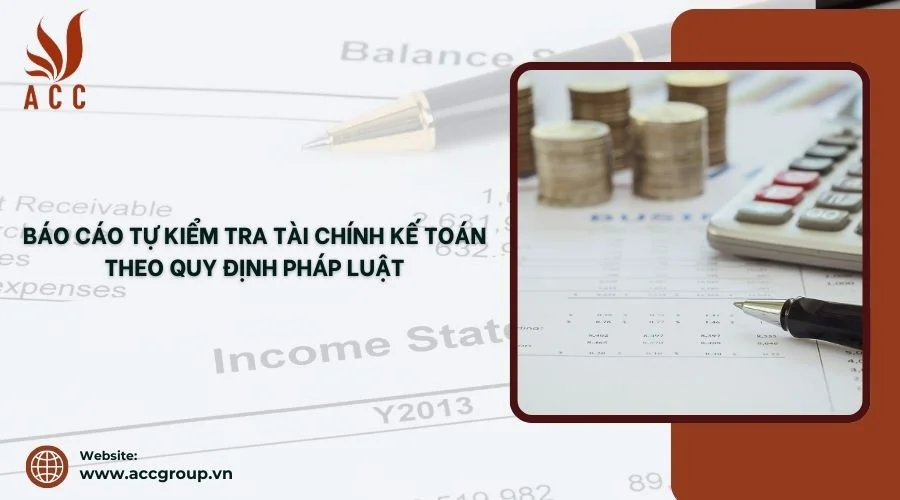 Báo cáo tự kiểm tra tài chính kế toán theo quy định pháp luật