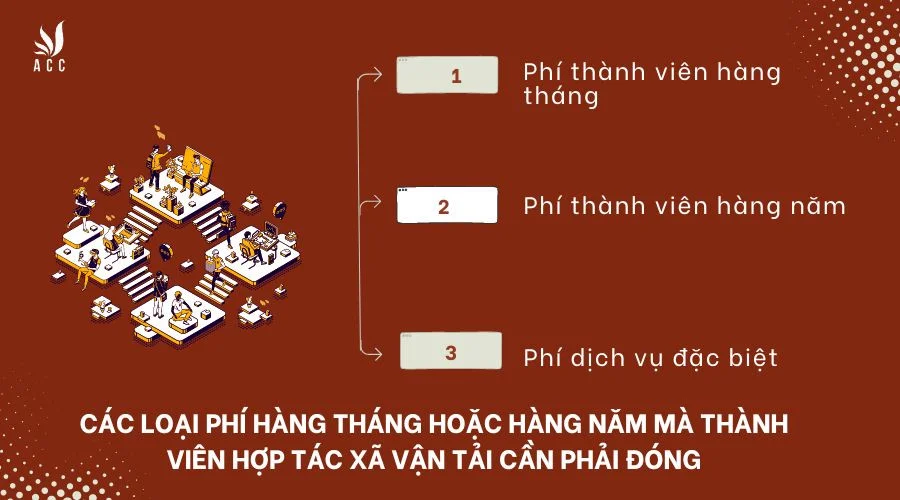 Các loại phí hàng tháng hoặc hàng năm mà thành viên hợp tác xã vận tải cần phải đóng là gì?