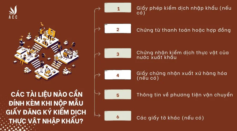 cac-tai-lieu-nao-can-dinh-kem-khi-nop-mau-giay-dang-ky-kiem-dich-thuc-vat-nhap-khau