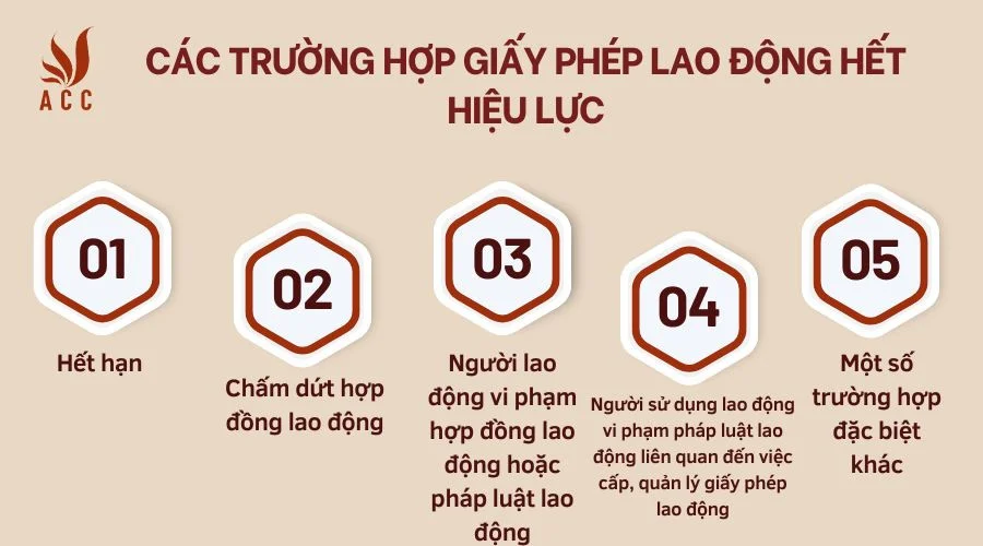 cac-truong-hop-giay-phep-lao-dong-het-hieu-luc.jpg  Kíc