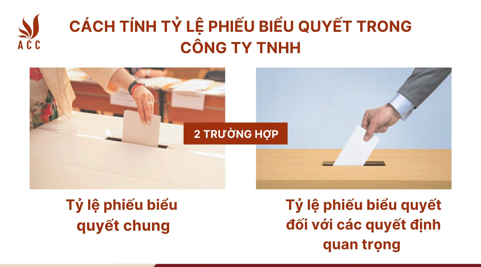 Cách tính tỷ lệ phiếu biểu quyết trong công ty TNHH