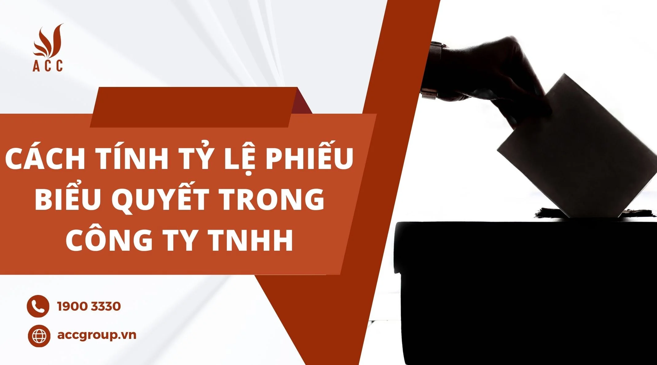 Cách tính tỷ lệ phiếu biểu quyết trong công ty TNHH