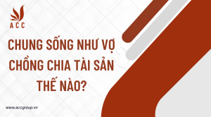 chung-song-nhu-vo-chong-chia-tai-san-the-nao