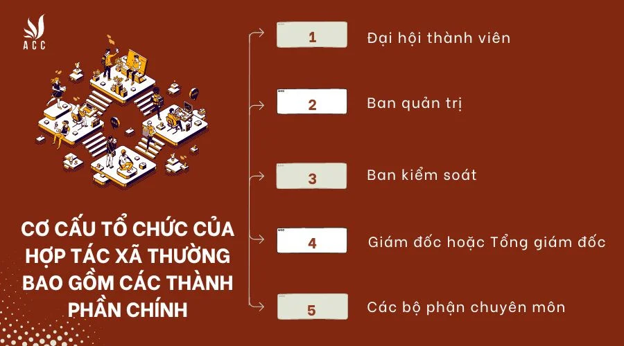 Cơ cấu tổ chức của hợp tác xã bao gồm những gì?