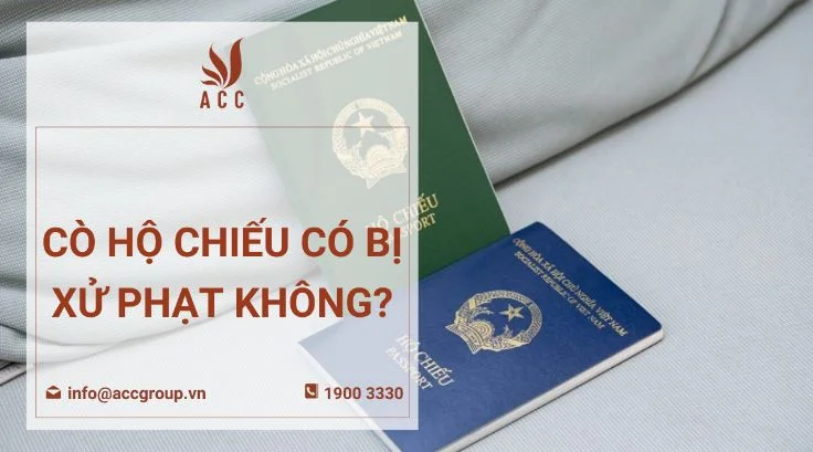 Cò hộ chiếu có bị xử phạt không?