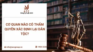 co-quan-nao-co-tham-quyen-xac-dinh-lai-dan-toc