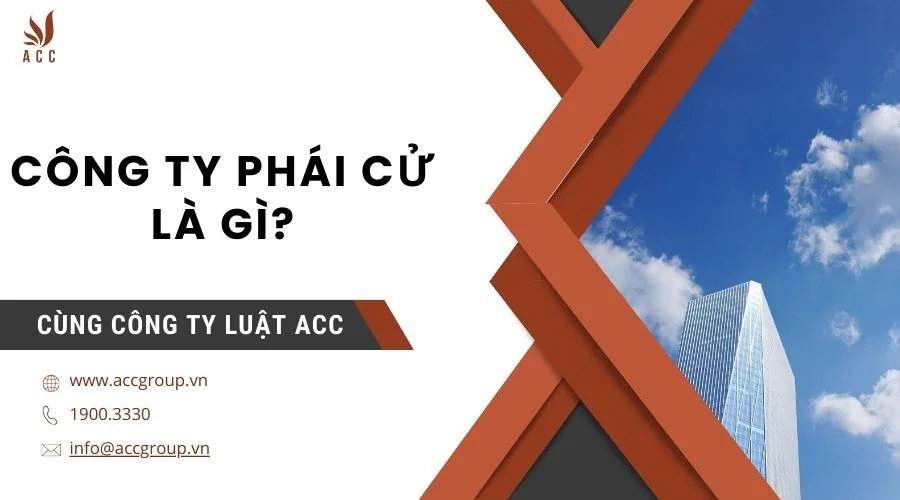 Công ty phái cử là gì?