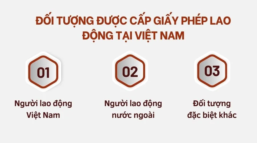 doi-tuong-duoc-cap-giay-phep-lao-dong-tai-viet-nam