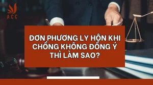 don-phuong-ly-hon-khi-chong-khong-dong-y-thi-lam-sao