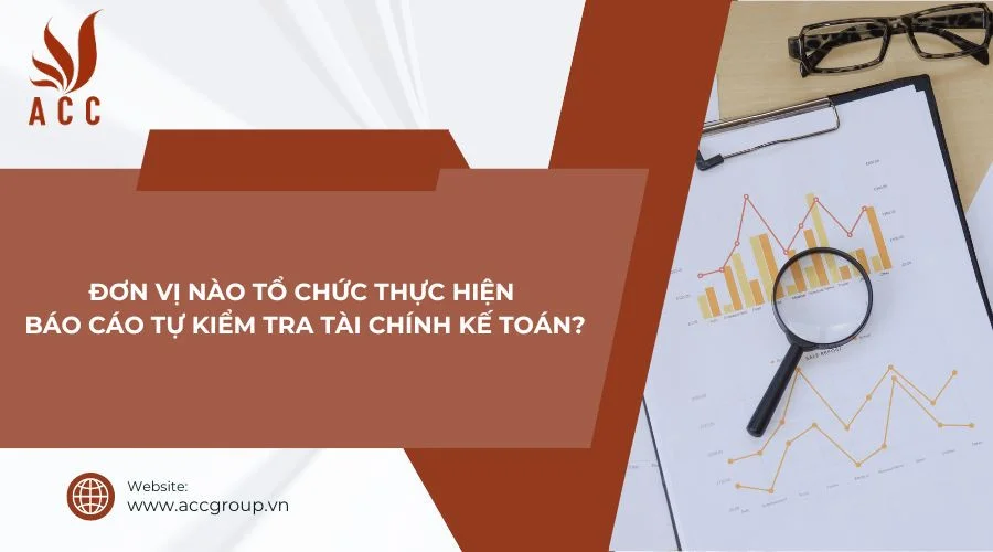 Đơn vị nào tổ chức thực hiện báo cáo tự kiểm tra tài chính kế toán?