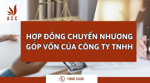 hop-dong-chuyen-nhuong-gop-von-cua-cong-ty-tnhh