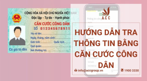 huong-dan-tra-thong-tin-bang-can-cuoc-cong-dan