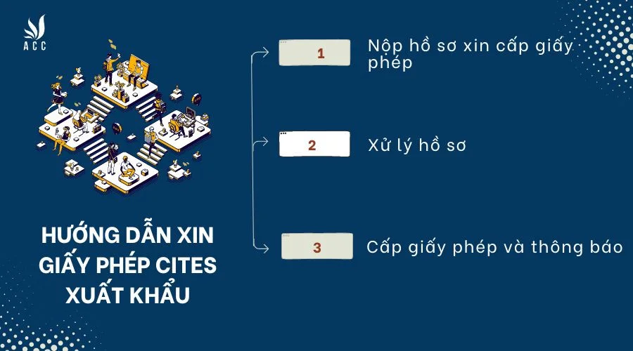 huong-dan-xin-giay-phep-cites-xuat-khau-1