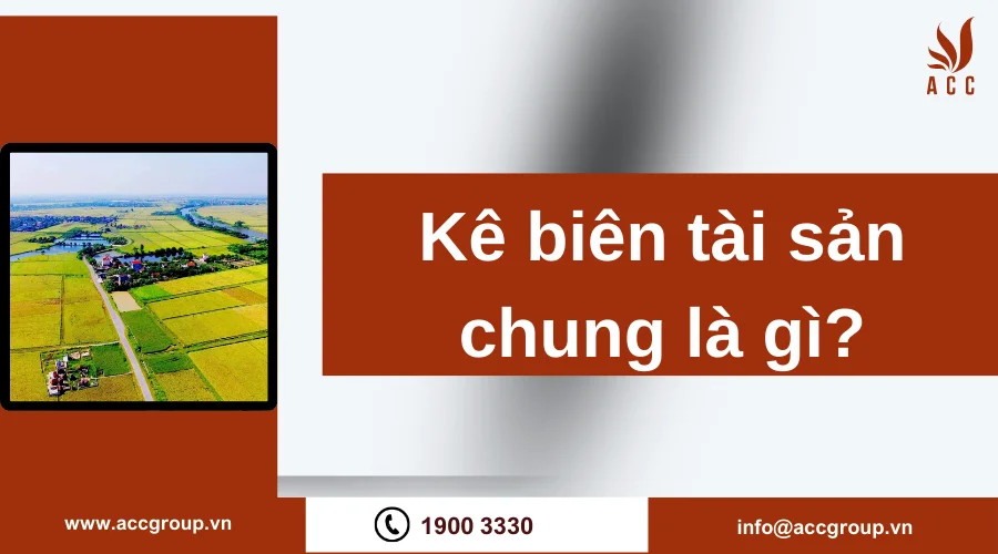 Kê biên tài sản chung là gì?