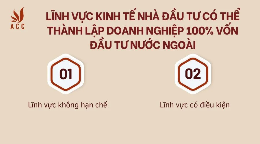 linh-vuc-kinh-te-nha-dau-tu-co-the-thanh-lap-doanh-nghiep-100-von-dau-tu-nuoc-ngoai