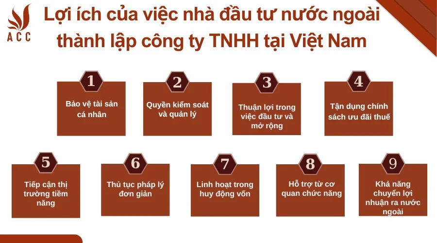 loi-ich-cua-viec-nha-dau-tu-nuoc-ngoai-thanh-lap-cong-ty-tnhh-tai-viet-nam