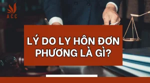 ly-do-ly-hon-don-phuong-la-gi