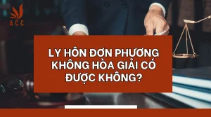 ly-hon-don-phuong-khong-hoa-giai-co-duoc-khong